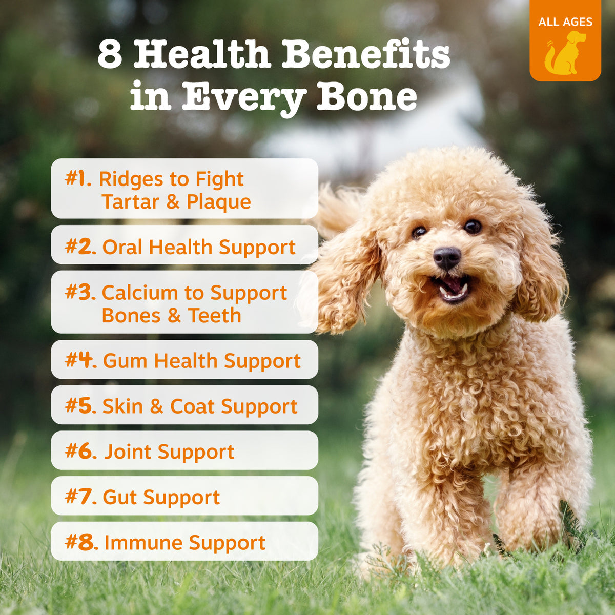 Dental Bones™ for Medium Sized Dogs